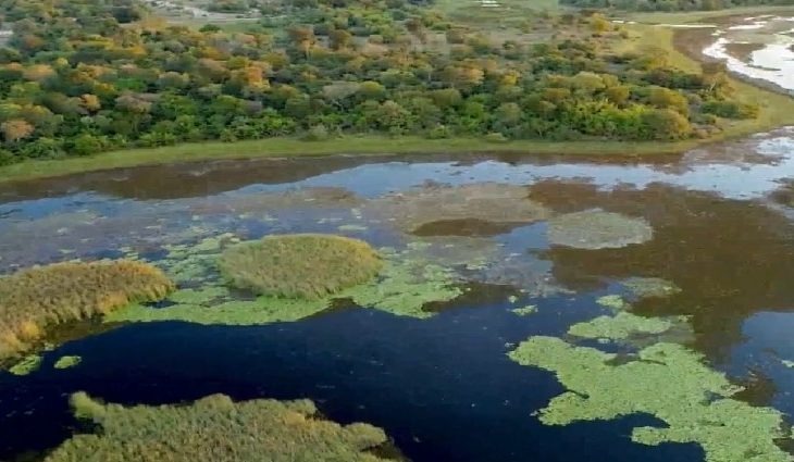 Parque do Rio Negro 2020