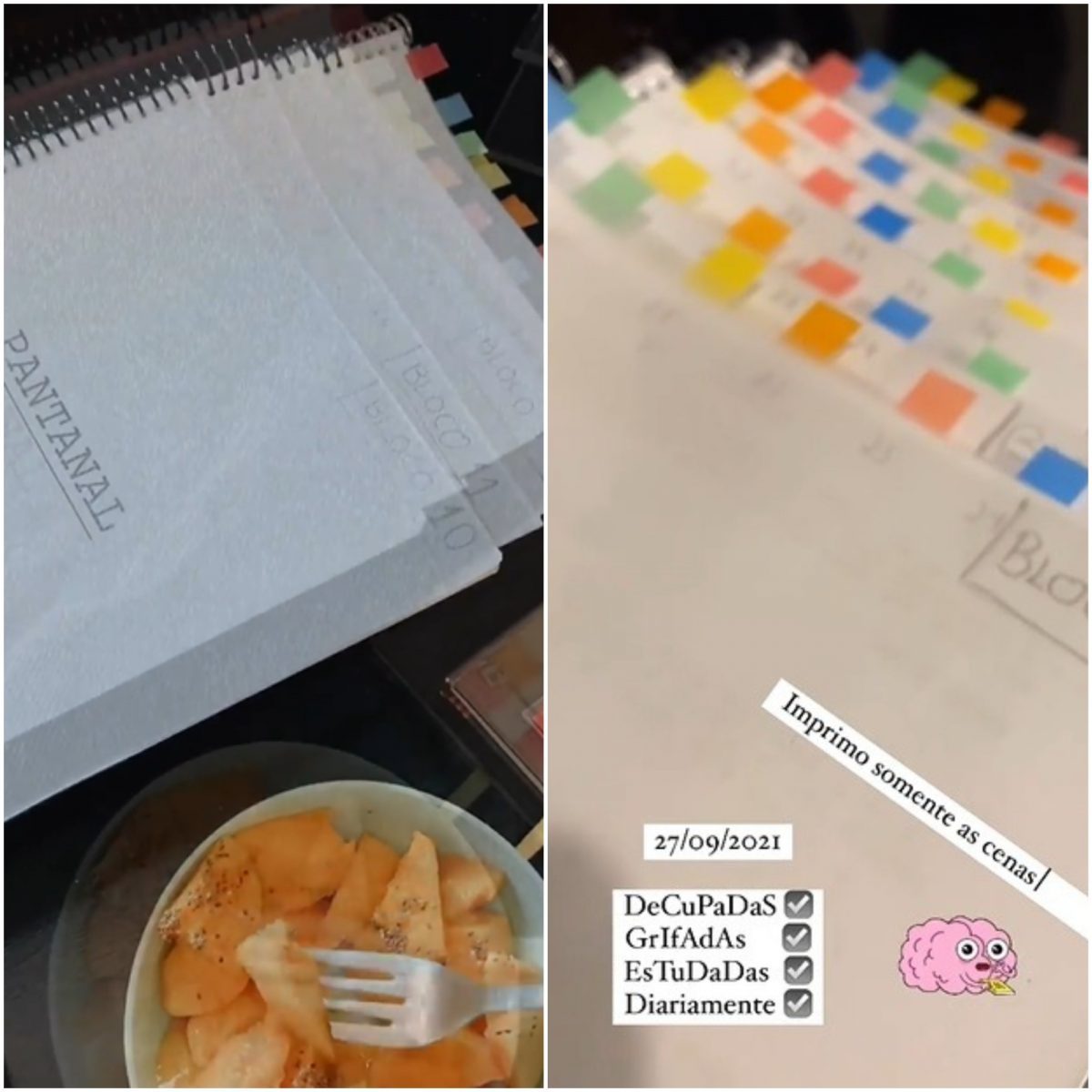 José Loreto mostra seus cadernos de cenas e estudos para viver Tadeu, em Pantanal (Fotos: Reprodução/Instagram)