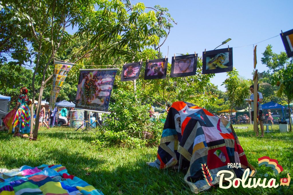 Imagem do gramado e arte em exposição na Praça da Bolívia