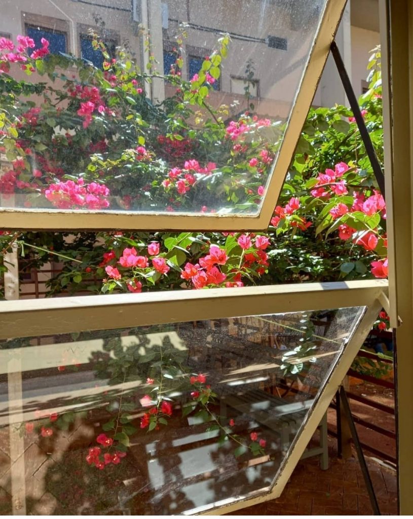 primavera