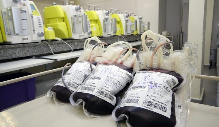 Bolsas de sangue no Hemosul (Foto: Divulgação)