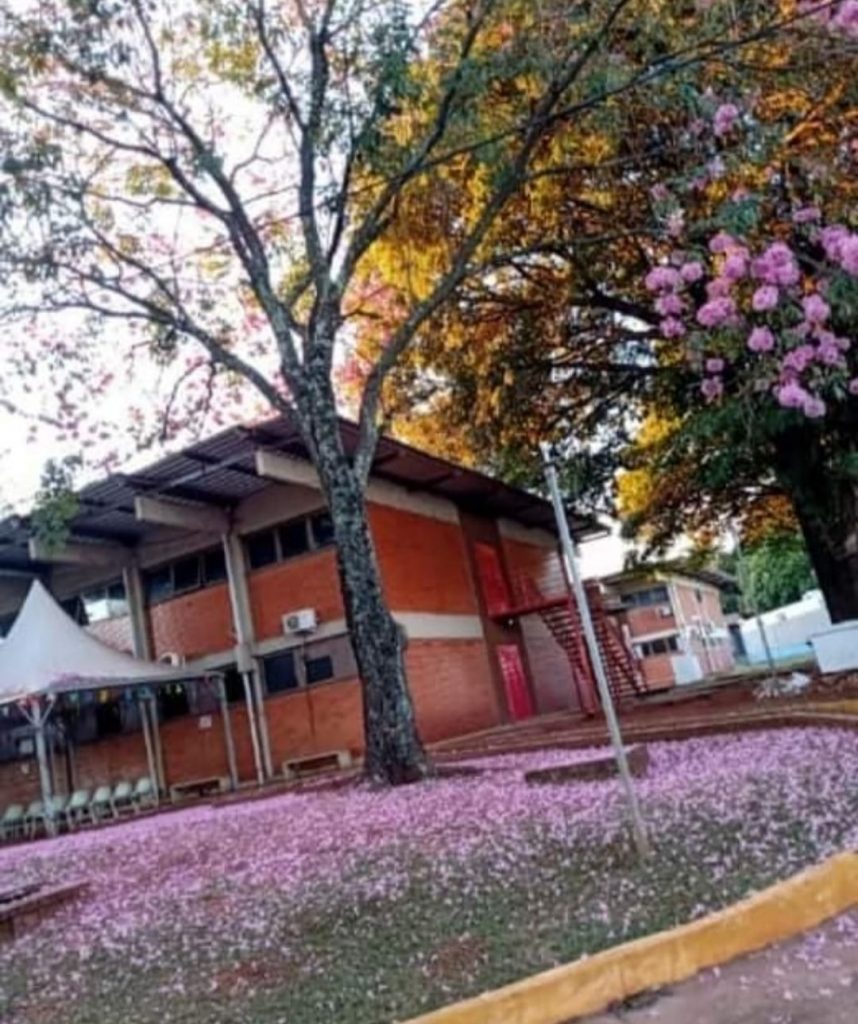 tapetedeipes