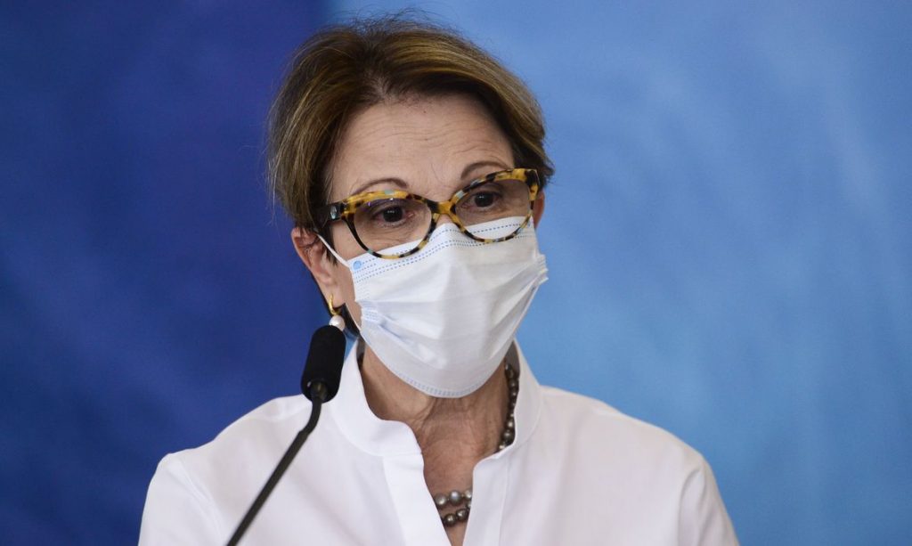Ministra da Agricultura, Pecuária e Abastecimento, Tereza Cristina (Foto: Marcelo Camargo/Agência Brasil)