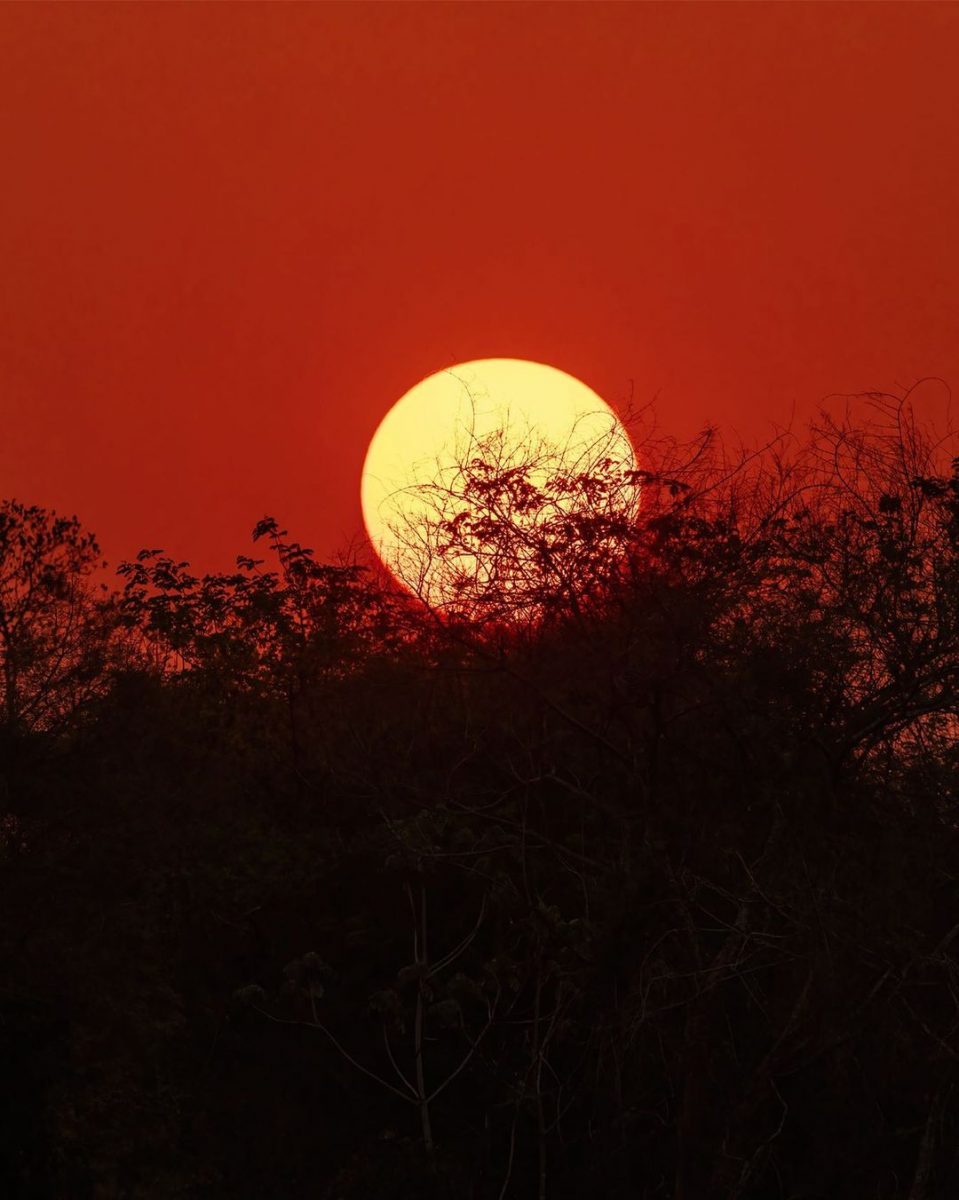 Fotógrafo de passagem pelo Pantanal (MT) registra pôr do sol (Foto: Bruno Diégoli Gargaglione)