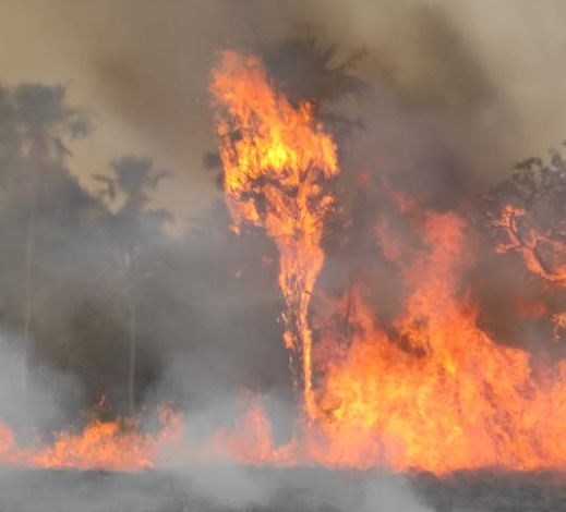 SOS Pantanal registra focos de incêndio no Pantanal (Leonardo Gomes)