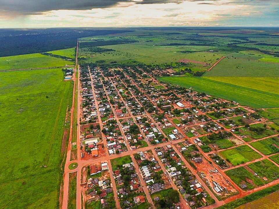 abelhas São José do Xingu