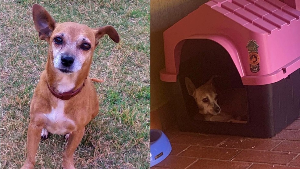Tininha em casa