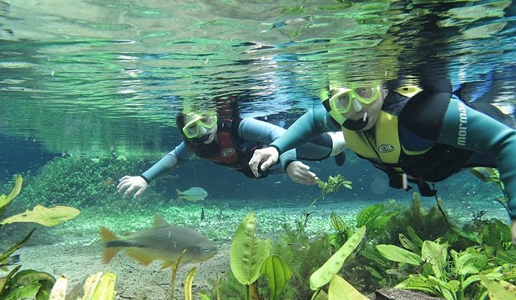 Retomada do turismo inclui Bonito entre os destinos mais visitados em MS (Foto: Divulgação)