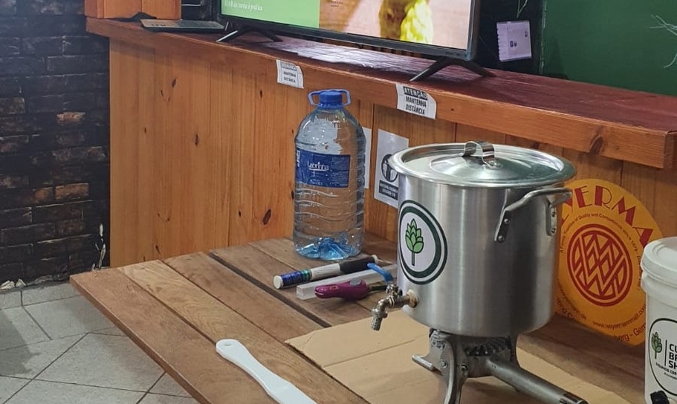 torcedora fanática do Palmeiras