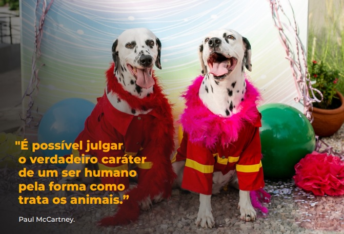Calendários contém frases de personalidades (Foto: Reprodução)
