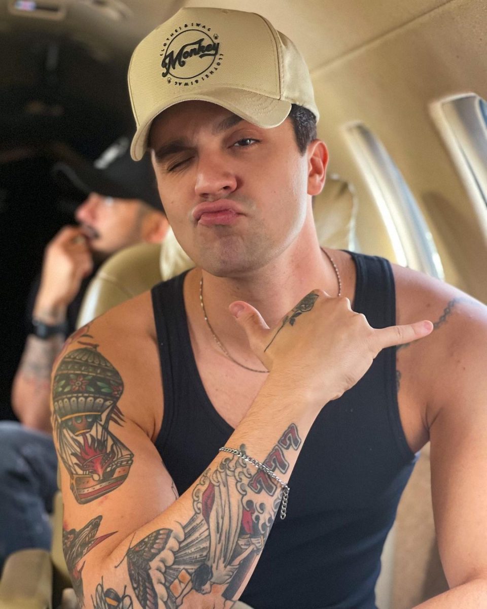 Luan Santana relembra história inusitada sobre infestação de formigas durante show em MS (Foto: Reprodução/Redes Sociais) 